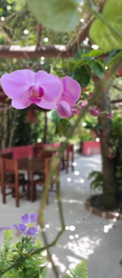 Vila Araticum Praia Santo André Exteriér fotografie